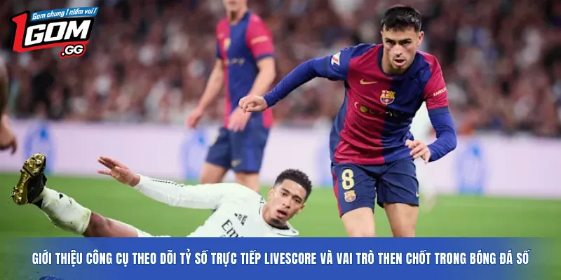 Giới thiệu công cụ theo dõi tỷ số trực tiếp Livescore và vai trò then chốt trong bóng đá số