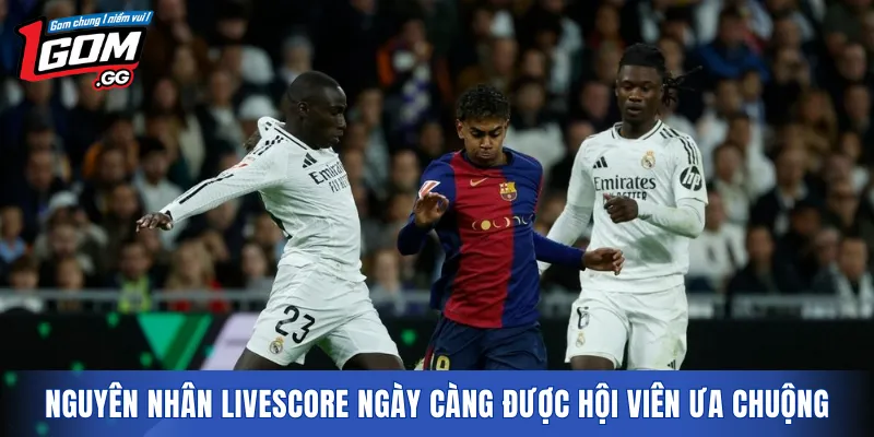 Nguyên nhân Livescore ngày càng được hội viên ưa chuộng