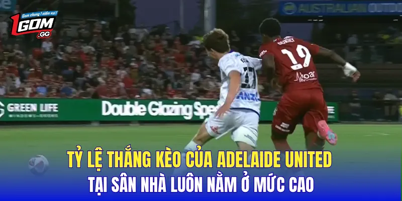 Tỷ lệ thắng kèo của Adelaide United tại sân nhà luôn nằm ở mức cao