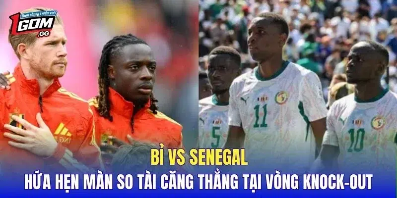 Bỉ vs Senegal hứa hẹn màn so tài căng thẳng tại vòng knock-out