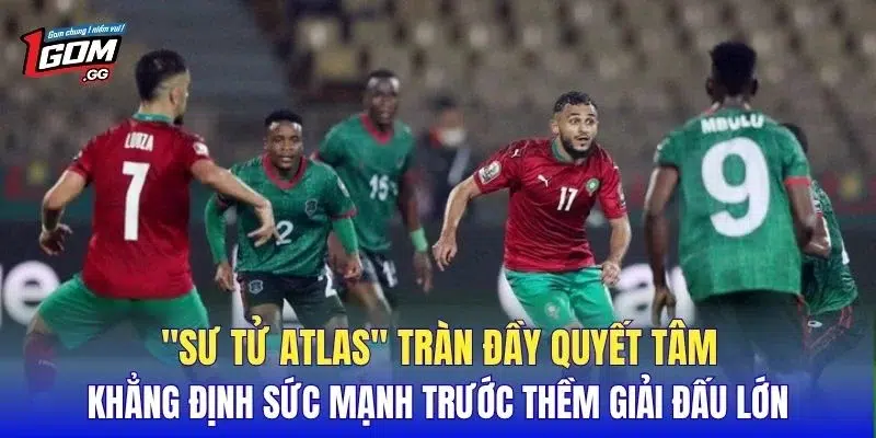 "Sư tử Atlas" tràn đầy quyết tâm khẳng định sức mạnh trước thềm giải đấu lớn